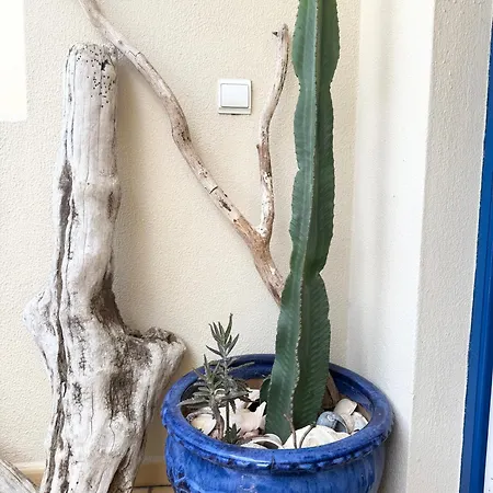 Bemposta 99a Apartman *